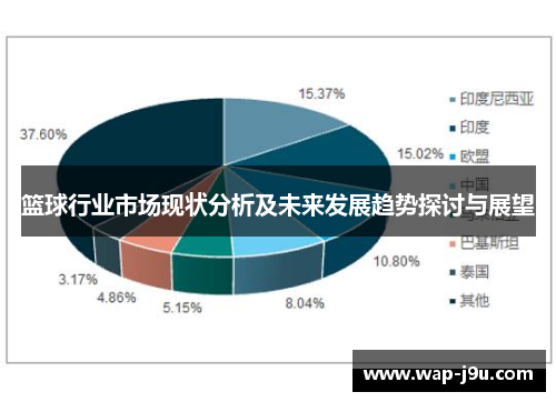 篮球行业市场现状分析及未来发展趋势探讨与展望