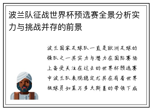 波兰队征战世界杯预选赛全景分析实力与挑战并存的前景