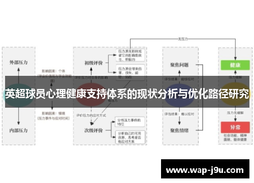 英超球员心理健康支持体系的现状分析与优化路径研究