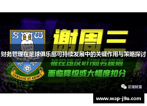 财务管理在足球俱乐部可持续发展中的关键作用与策略探讨