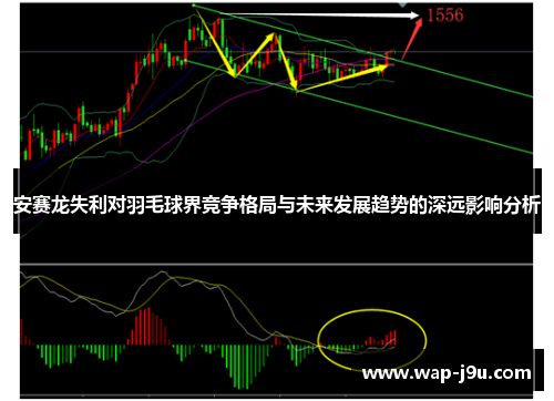 安赛龙失利对羽毛球界竞争格局与未来发展趋势的深远影响分析