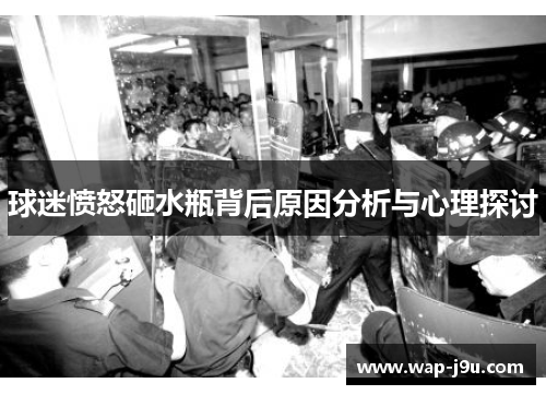 球迷愤怒砸水瓶背后原因分析与心理探讨