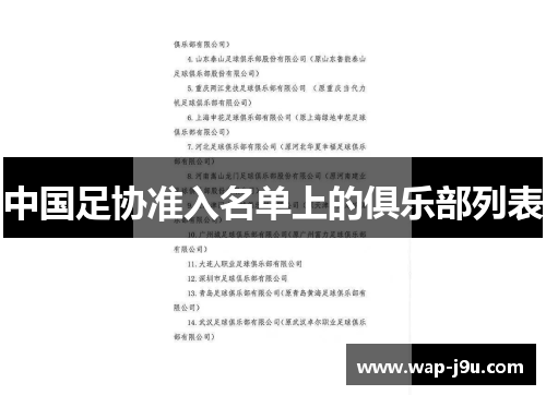 中国足协准入名单上的俱乐部列表