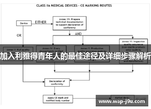 加入利雅得青年人的最佳途径及详细步骤解析