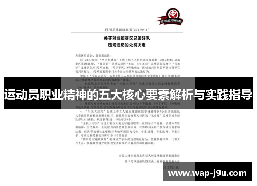 运动员职业精神的五大核心要素解析与实践指导