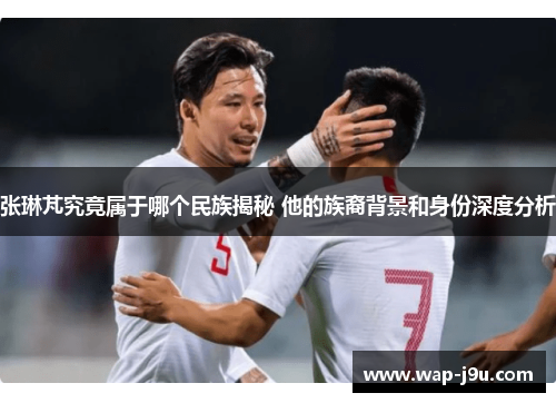 张琳芃究竟属于哪个民族揭秘 他的族裔背景和身份深度分析