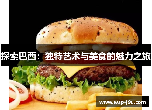 探索巴西：独特艺术与美食的魅力之旅